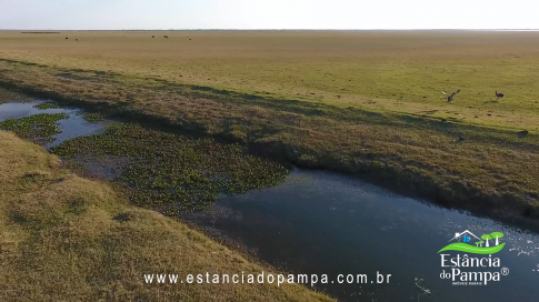 FAZENDA À VENDA NO RS COM 2274 HA (2).00_01_35_03.Quadro005_cbec75c708aefe612672f6ffb8c43b5df1e4771f.png